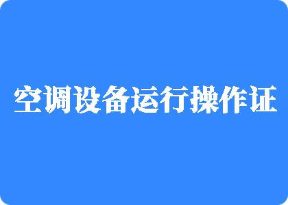 欧美大鸡巴操逼逼制冷工证