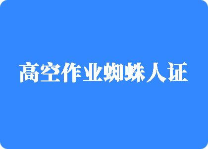 大汉草壁流水视频高空作业蜘蛛人证